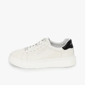 Betel White